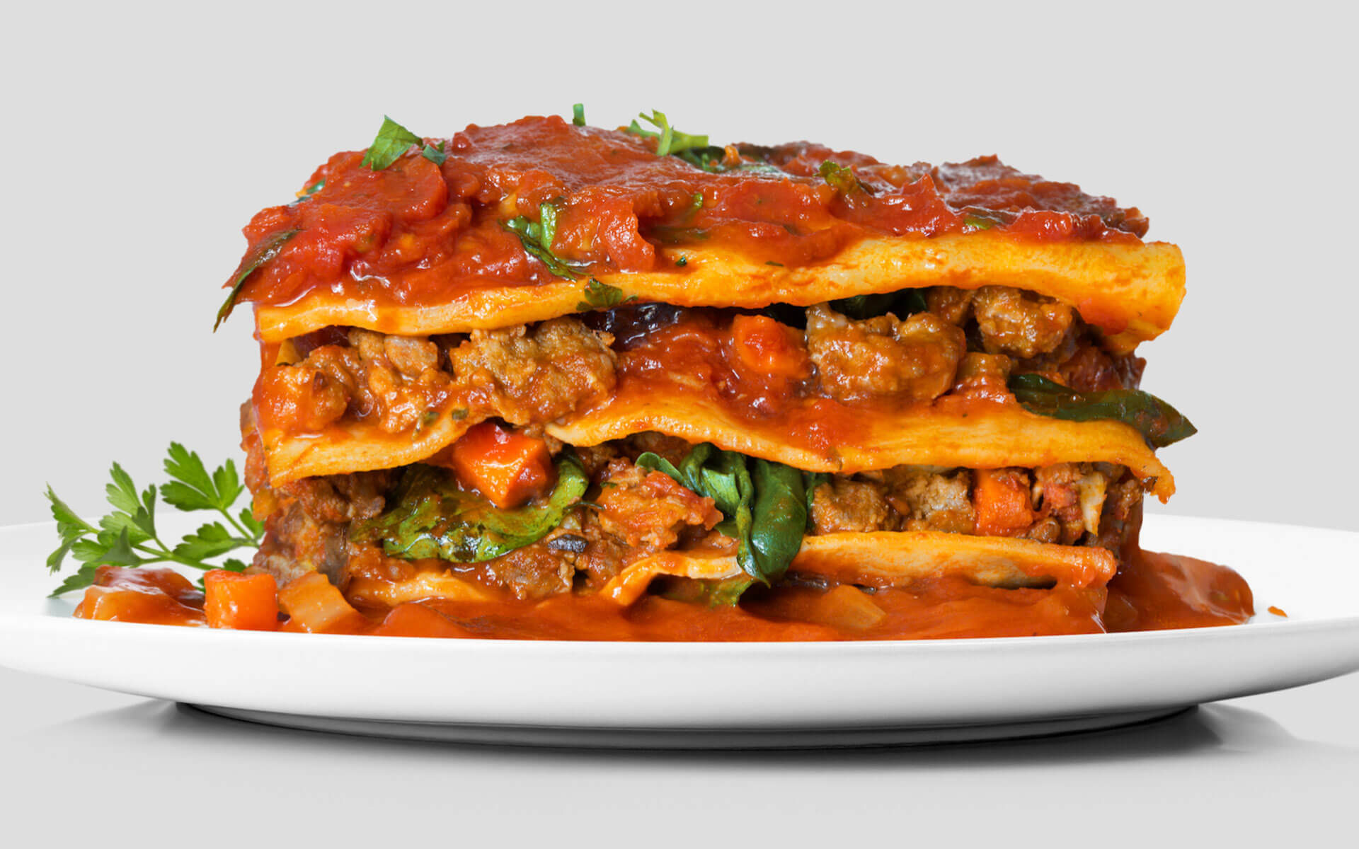 closeup on a plate of lasagna