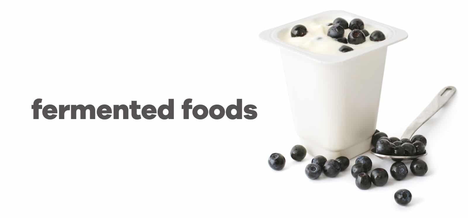 yogurt topped with blueberries