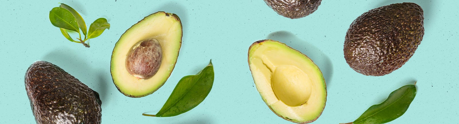 header image of avocados cut in half, some with pit some without a pit