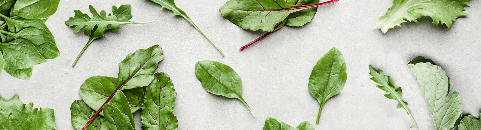 header image of leafy greens including spinach and lettuce