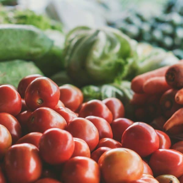 variety of vegetables including tomatoes, carrots and peppers