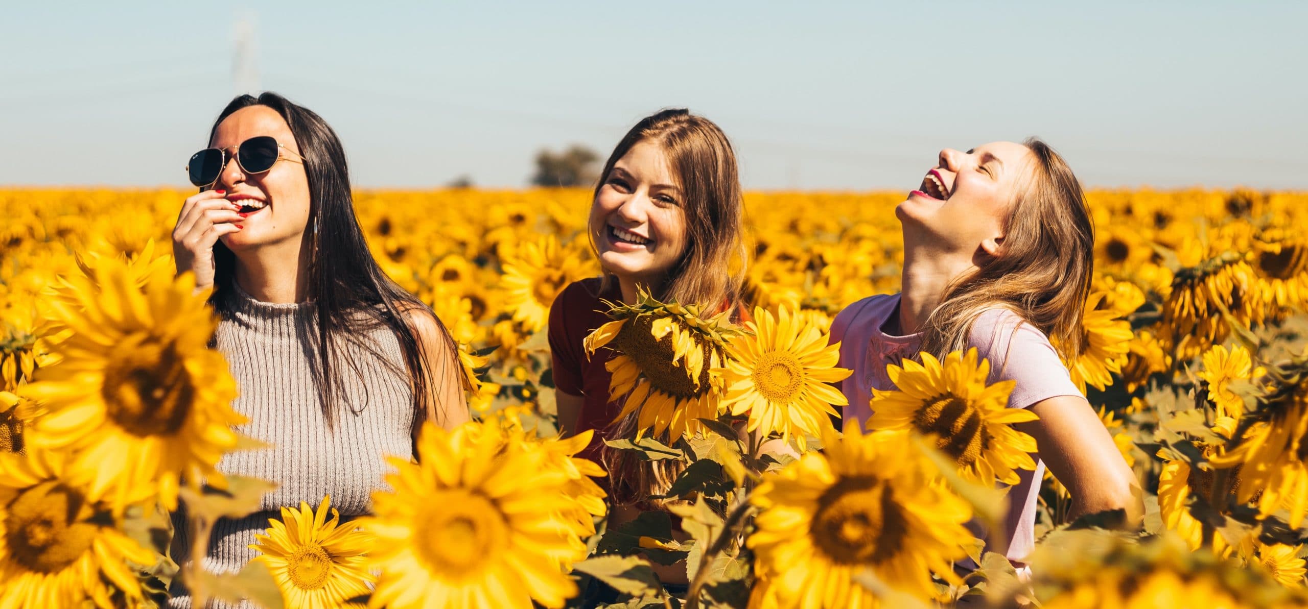 Three women laughing in a field of sunflowers