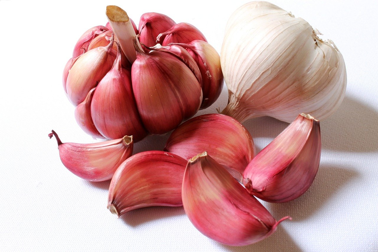 Close up of a clove of garlic on a white background