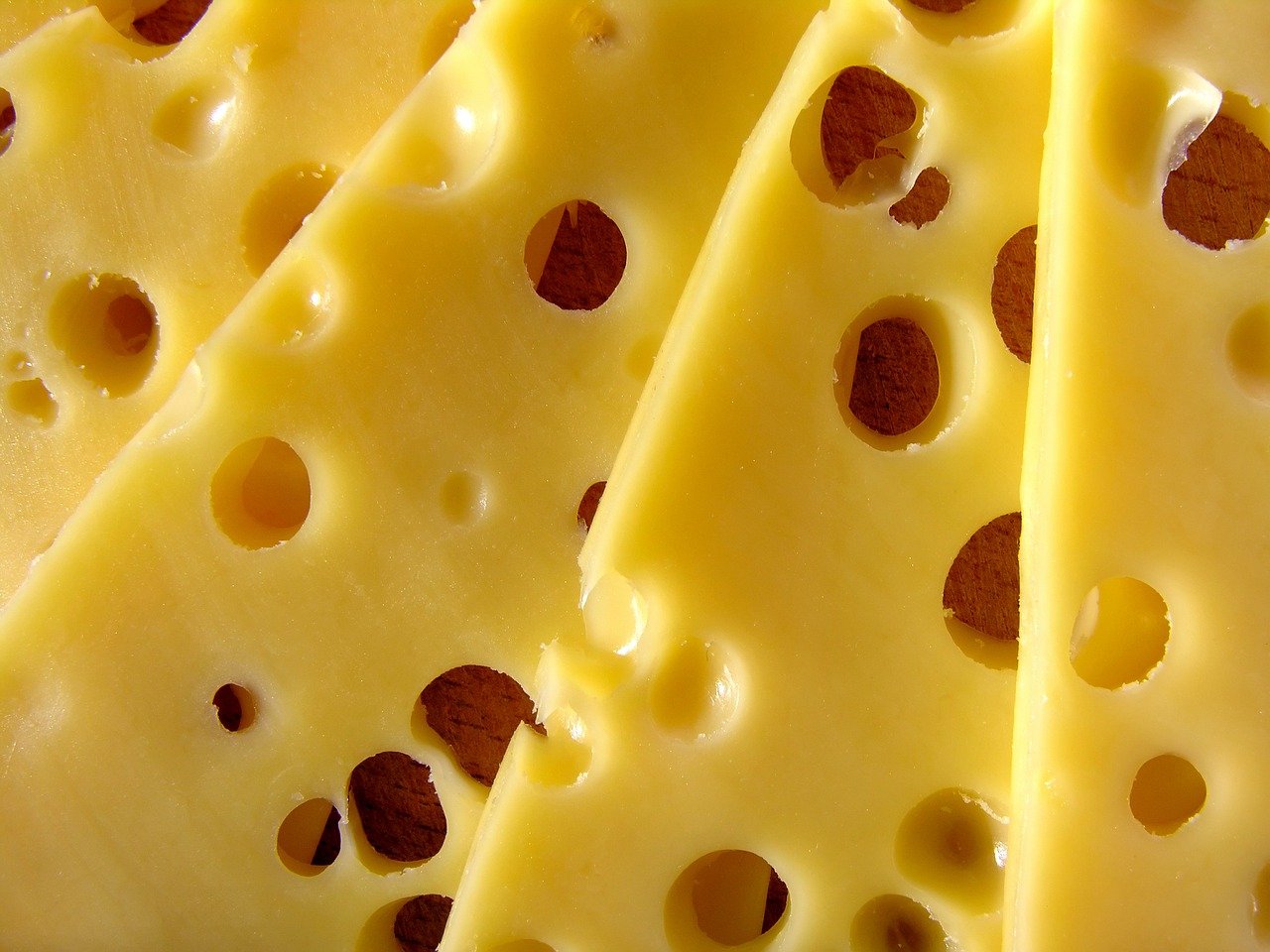 Close up of swiss cheese