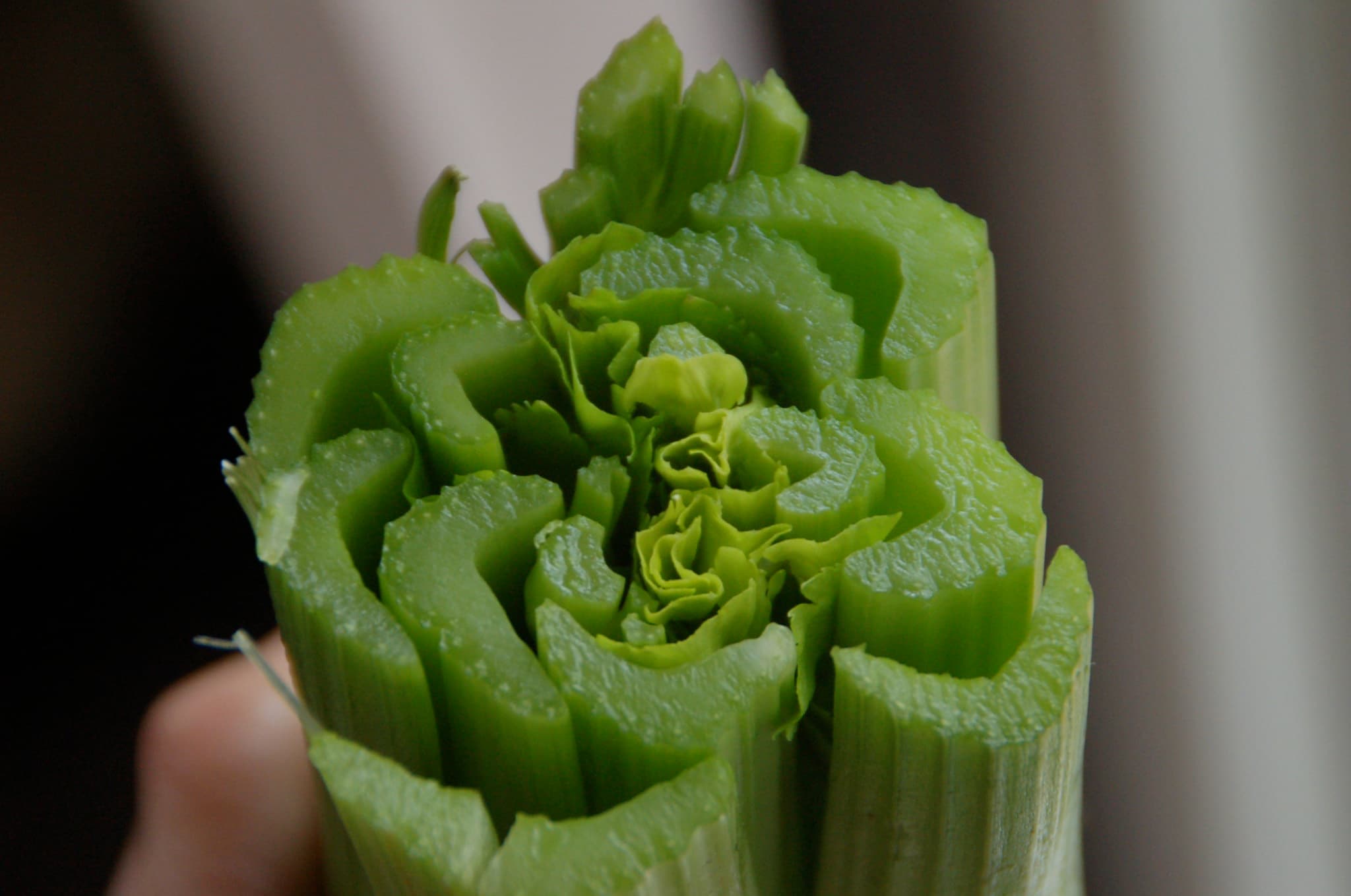 celery flower stock