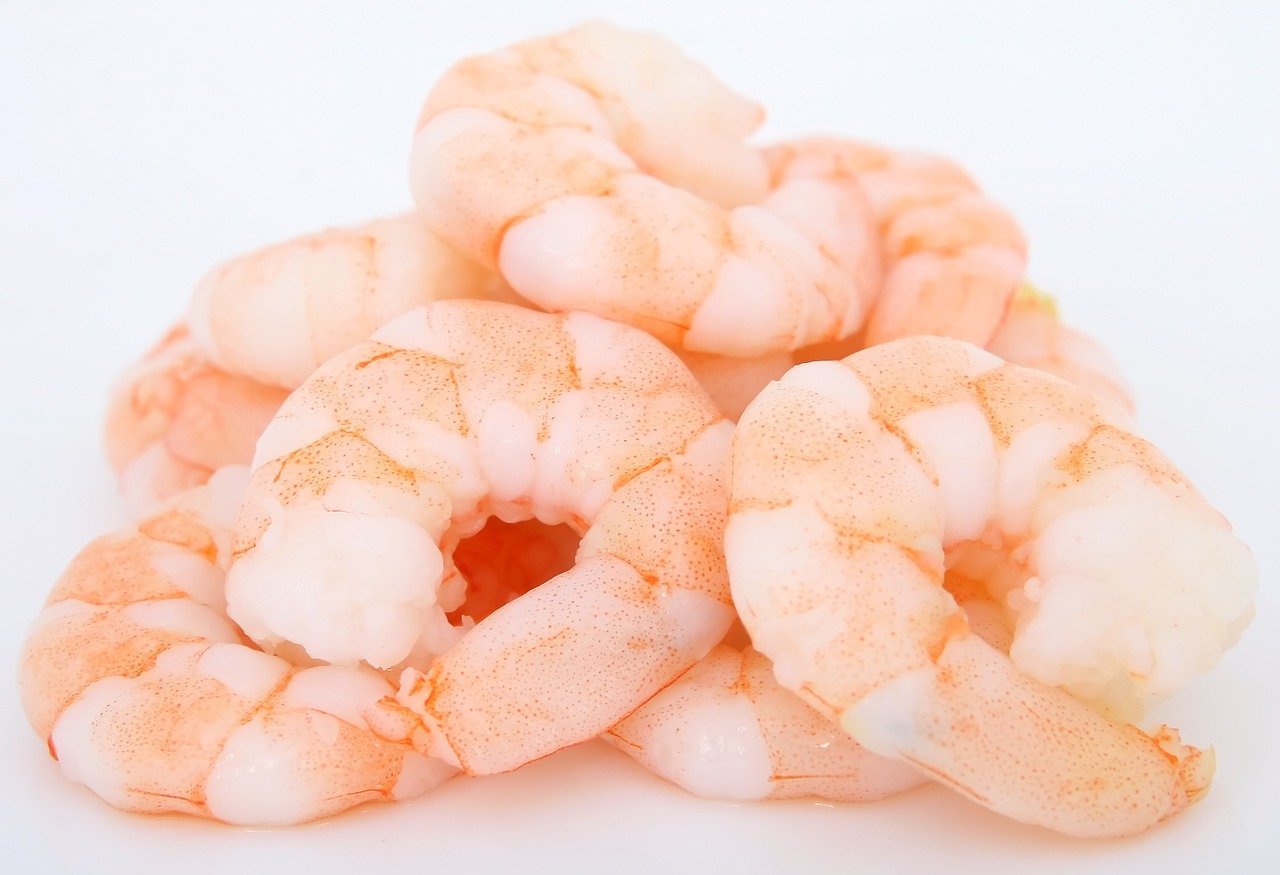 pile of yummy shrimps