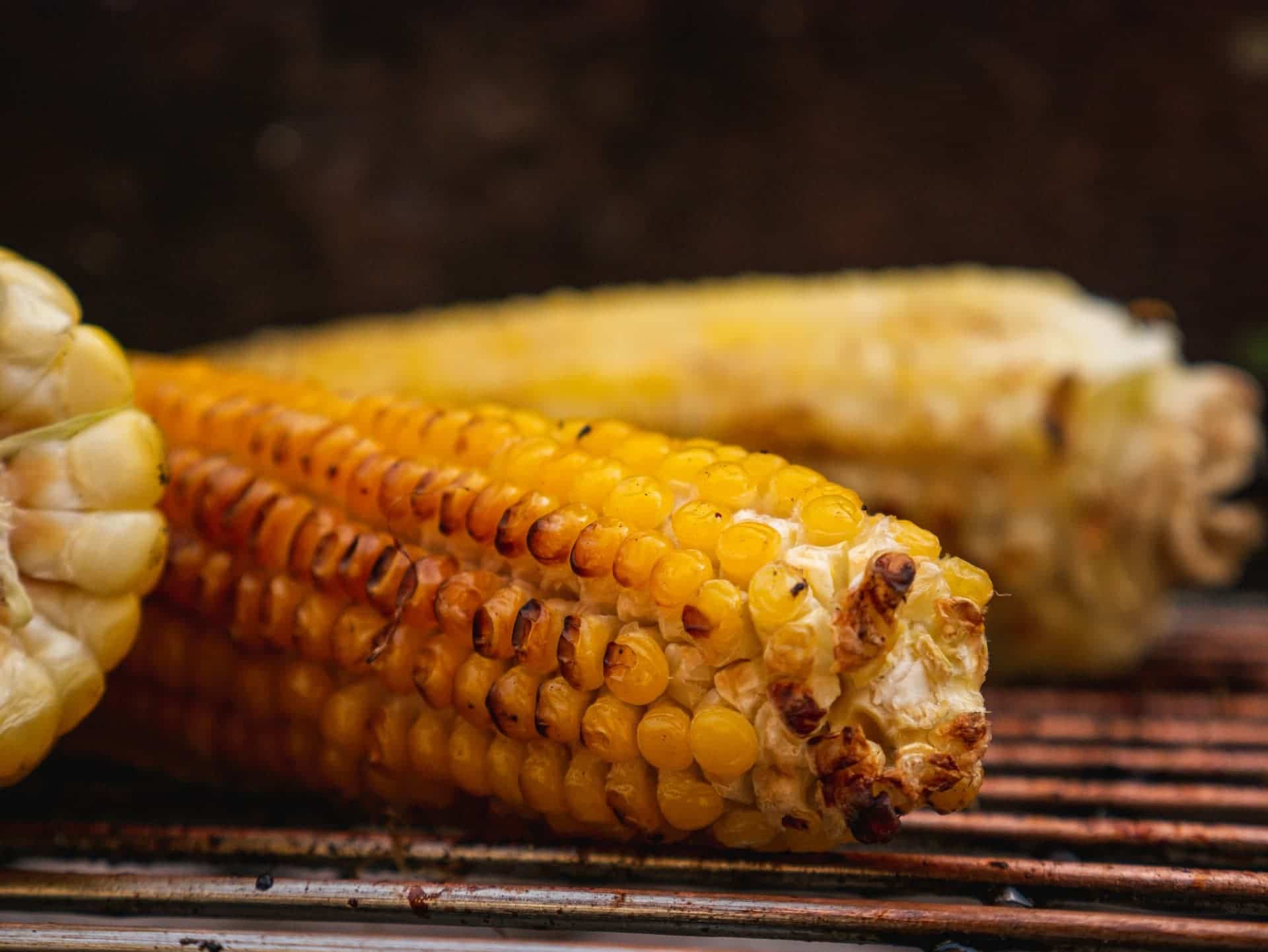 corn on the cob being roasted over a grill