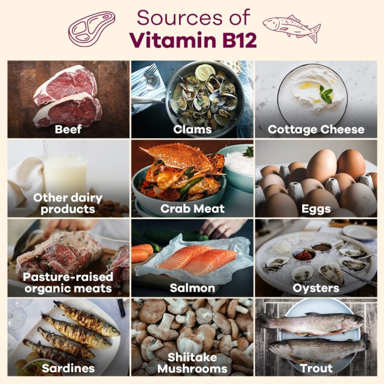 table of great sources of vitamin b12