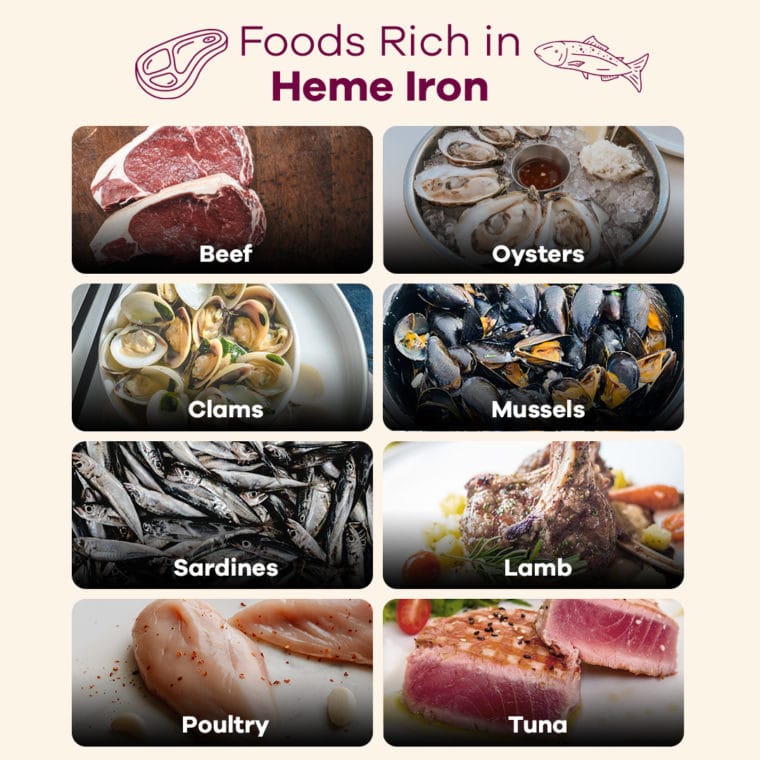 foods rich with heme iron chart