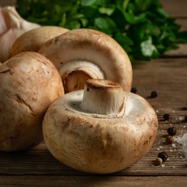 mushroom protein