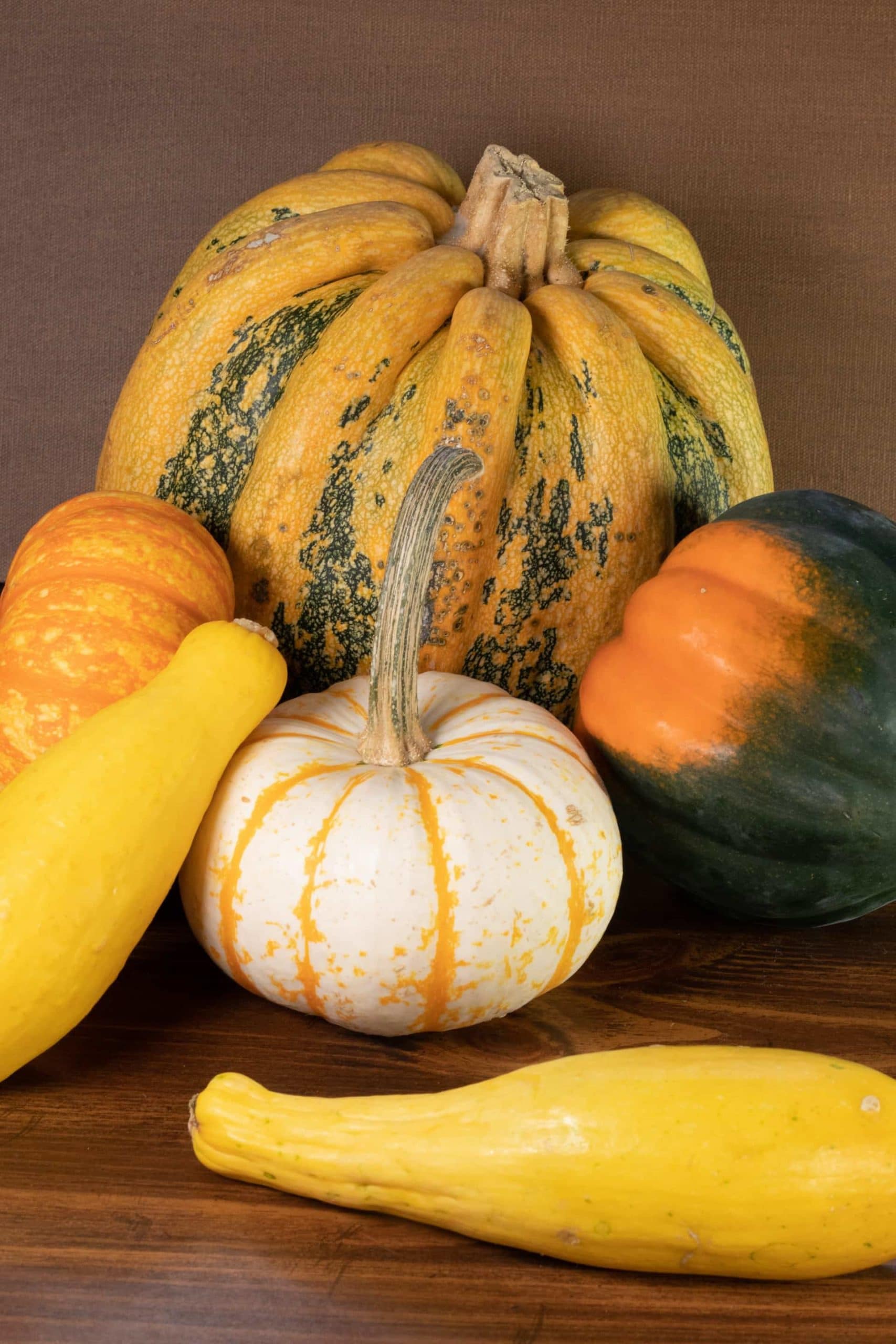 different types of squash and pumpkin